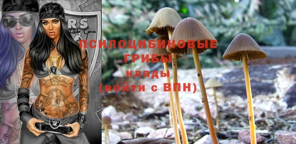 прущая мука Гусев