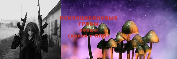 мяу мяу кристалл Гусь-Хрустальный