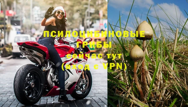 jwh Гусиноозёрск