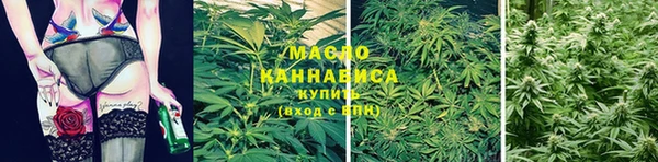 мяу мяу кристалл Гусь-Хрустальный